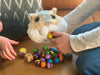 Feed Fuzzy Game - McRuffy Press