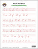 Trace and Erase - Cursive - McRuffy Press