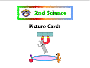 Additional Second Grade Science Card Set - McRuffy Press