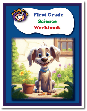 First Grade Science Workbook