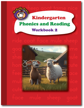 Kindergarten Phonics and Reading Workbook 2