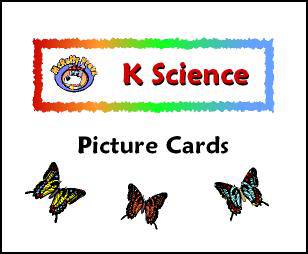 Additional Kindergarten Science Card Set